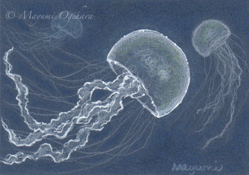 Jellyfish by Mayumi Ogihara